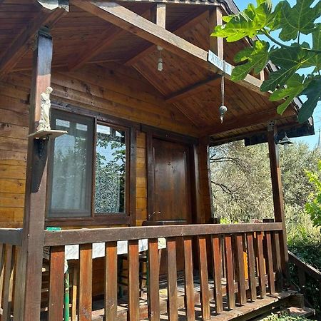 Olimpos Bungalov Apart Aparthotel Balikliova ภายนอก รูปภาพ